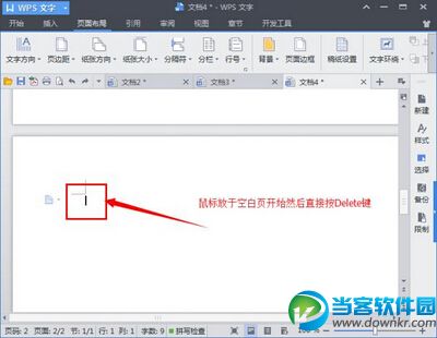 WPS office删除空白页面方法