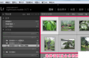 lightroom怎么批量重命名 lightroom批量重命名图片教程