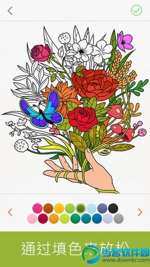 colorfy