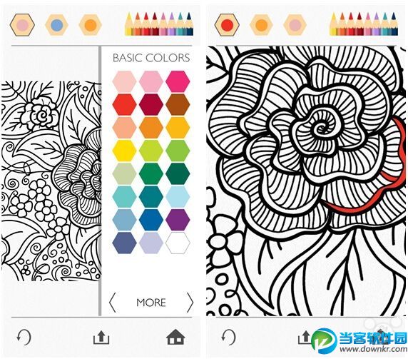 colorfy