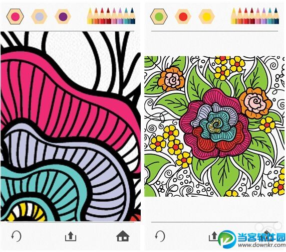 colorfy