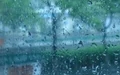 抖音控雨怎么拍 抖音控雨步骤教程