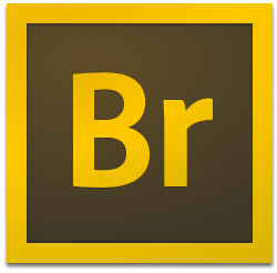 Adobe Bridge CC 2019中文版