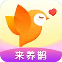 欢鹊交友 V1.9.0 安卓版