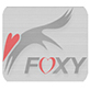 Foxy 2(P2P下载器) V2.0.13 官方版