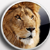 Lion skin pack 13 X86 V13 免费版