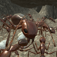 蚂蚁生存模拟器游戏 V305.1 安卓版