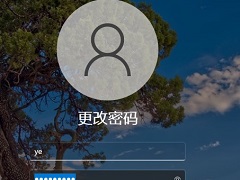 Win11怎么去掉密码？Win11取消密码登录的方法