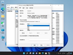 Win11怎么关闭系统自动更新？