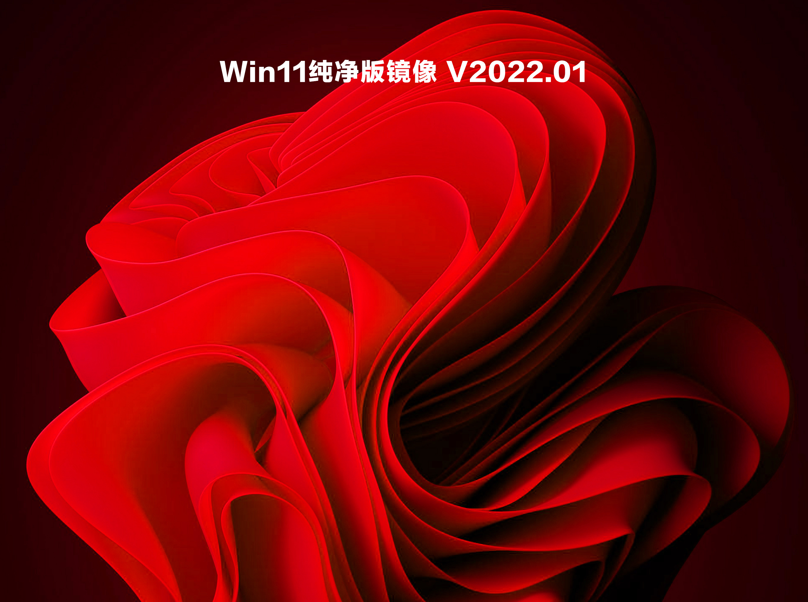 Win11纯净版镜像 V2022.01