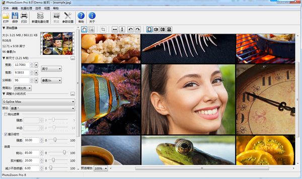 photozoom pro 11