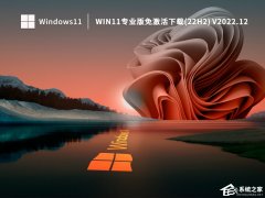 Win11全新系统22H2专业版镜像下载(永久激活)