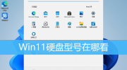 win11硬盘型号怎么看