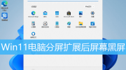 Win11电脑分屏后黑屏解决方法