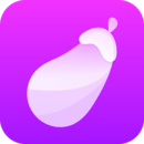 茄子视频app v1.2.2