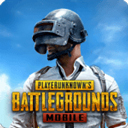 pubgmobile国际服官网下载最新版 v3.0.0