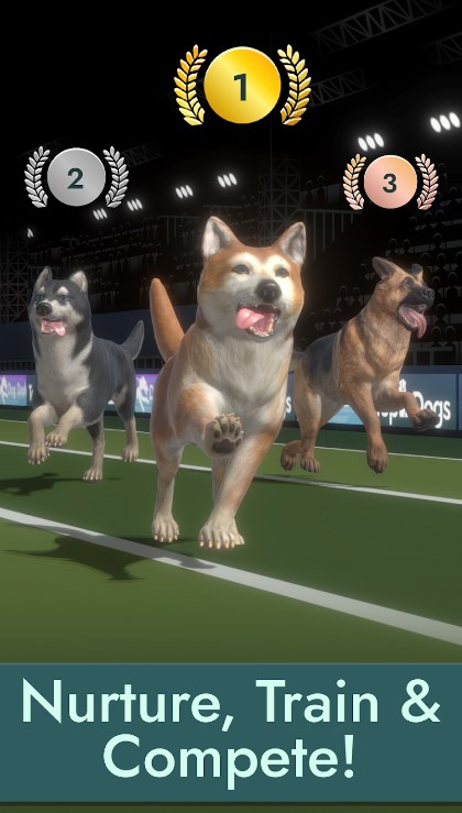 Top Dogs官方安卓版图1: