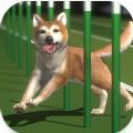 Top Dogs官方版 v0.0.4