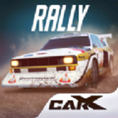 CarX Rally中文版 v18916