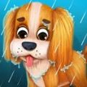 我的宠物之家幼犬护理最新版 v1.0.8