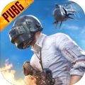 pubg mobile国际服安卓版 v2.9.1