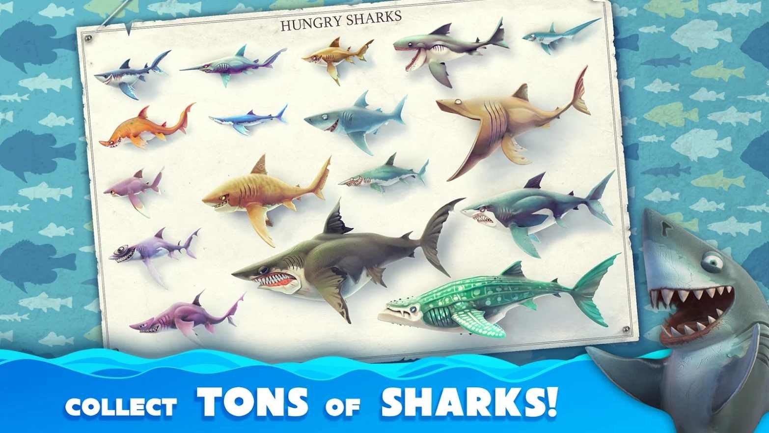 饥饿鲨世界全鲨鱼版截图