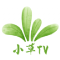 小草TV免费版app v6.8