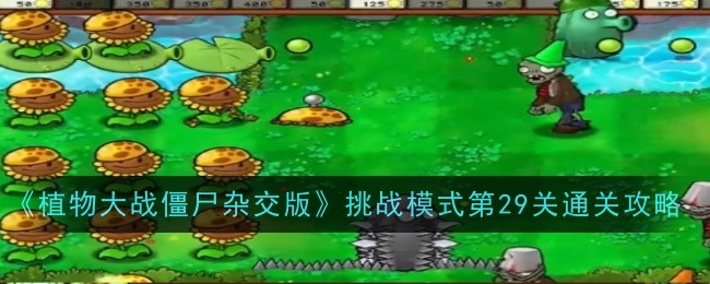 《植物大战僵尸杂交版》挑战模式第29关通关攻略-挑战模式第29关怎么玩