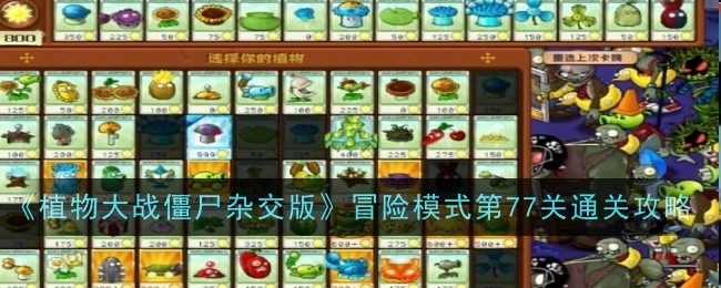 《植物大战僵尸杂交版》冒险模式第77关通关攻略登录后免费畅享游戏内容扫码登录验证码登录密码登录扫描下方二维码，3DM游戏APP