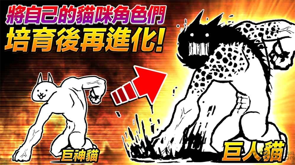 猫咪大战争双人版最新版 v11.4.0 安卓版 3