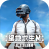 pubg地铁逃生官方正版 v3.6.0