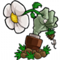 植物大战僵尸lz重制版最新版 V1.3.6.1