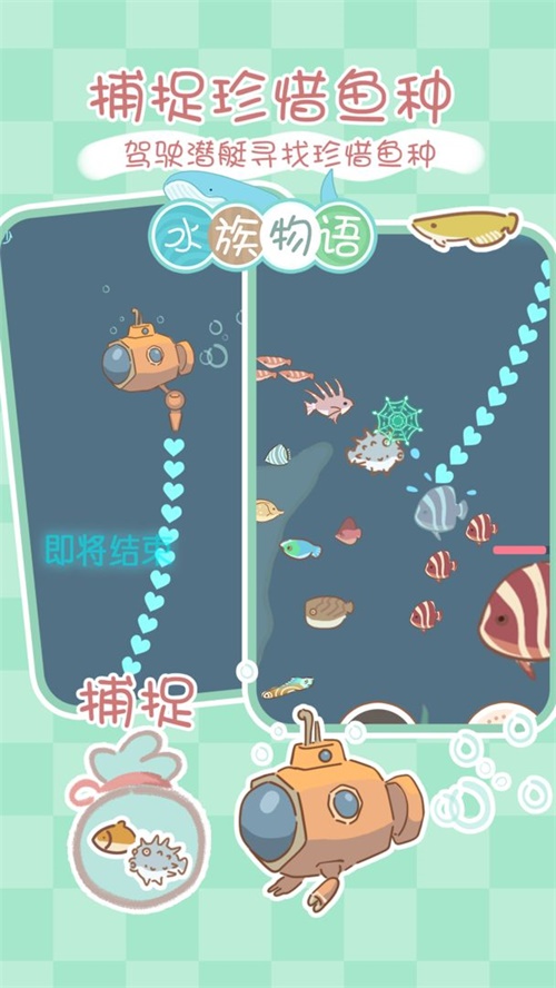 水族物语游戏