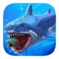 鲨鱼进化论最新版 v1.2