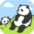 熊猫森林安卓版 V1.0.0