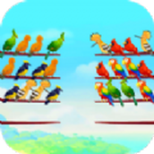 鸟类颜色拼图游戏安卓版 v0.1