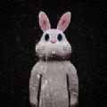 逃脱游戏兔子房间游戏安卓版  V1.0.5