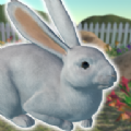 兔子朋友手游 V1.3.0