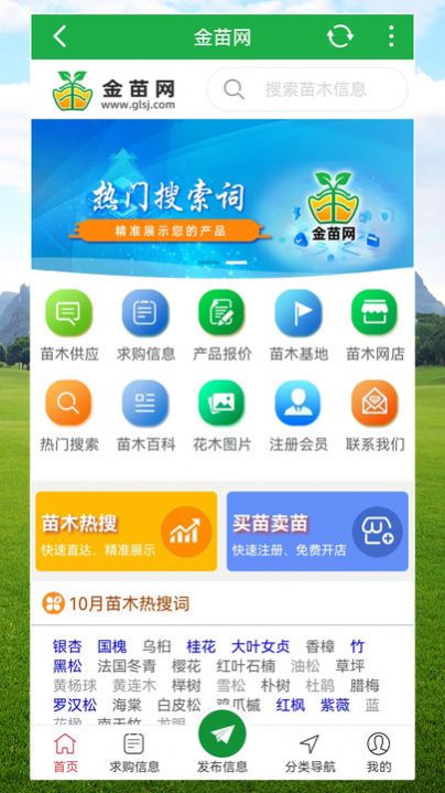 金苗网app官方版图片1