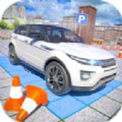 驾驶特技停车场游戏官方正版 v0.2