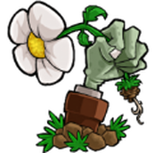 植物大战僵尸BE版最新安卓版 v1.1