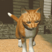 快乐猫猫传最新版 v1.0.3