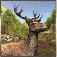 动物猎人丛林狙击手安卓版  V1.11