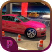 驾考模拟停车达人版手机版 v1.0