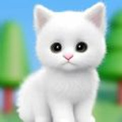 猫咪的选择免广告版 v1.0.4