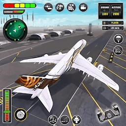 飞行员模拟器3d游戏(flight sim) v1.0