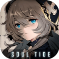 soul tide中文版 v6.40.2