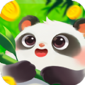 好运熊猫红包版 v1.0.5