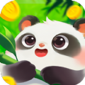 好运熊猫app最新版 v1.0.5