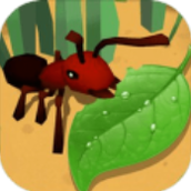 蚂蚁进化3D破解版 v1.8